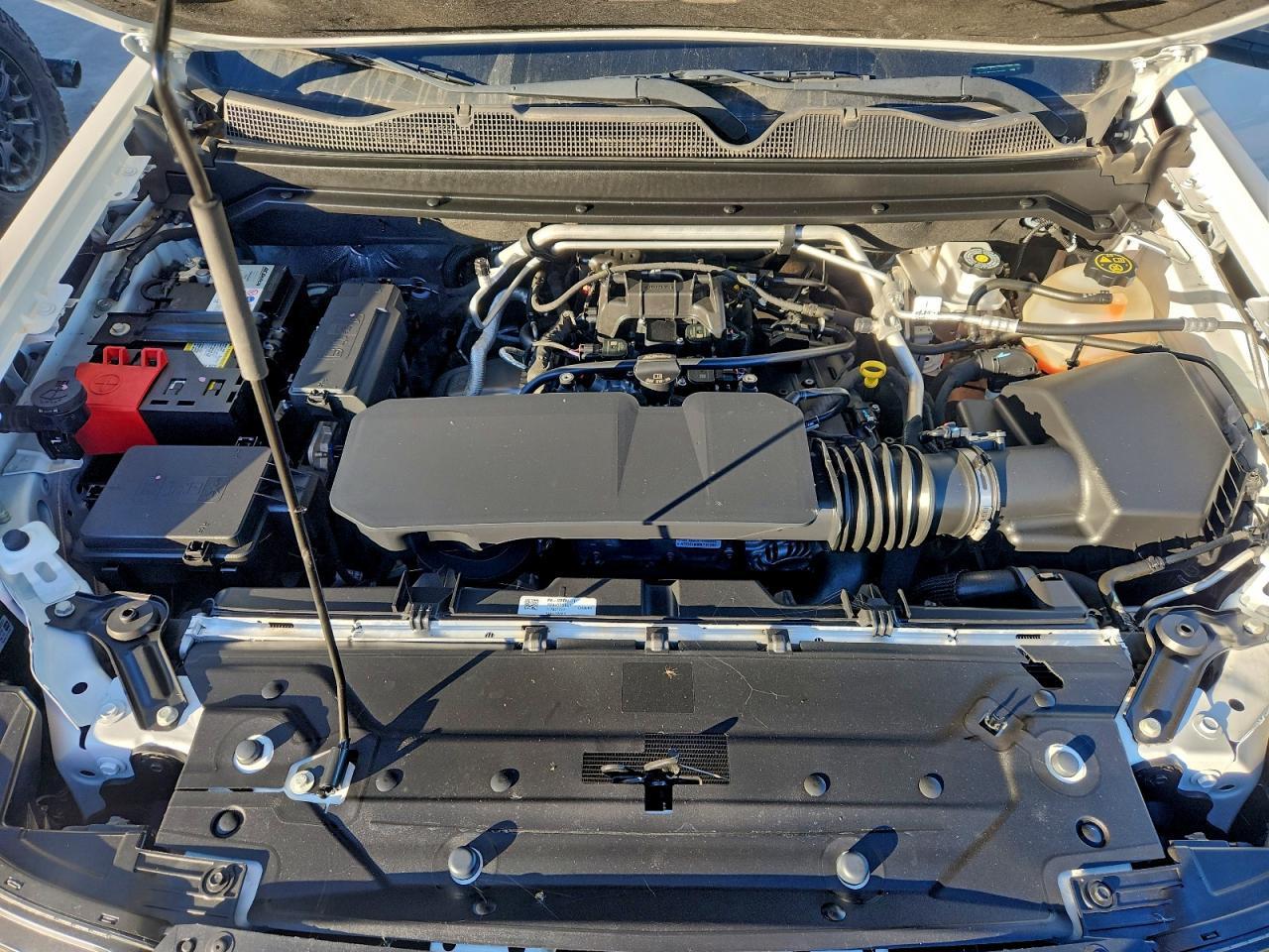 2023 CHEVROLET COLORADO