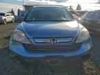 2009 HONDA CR-V