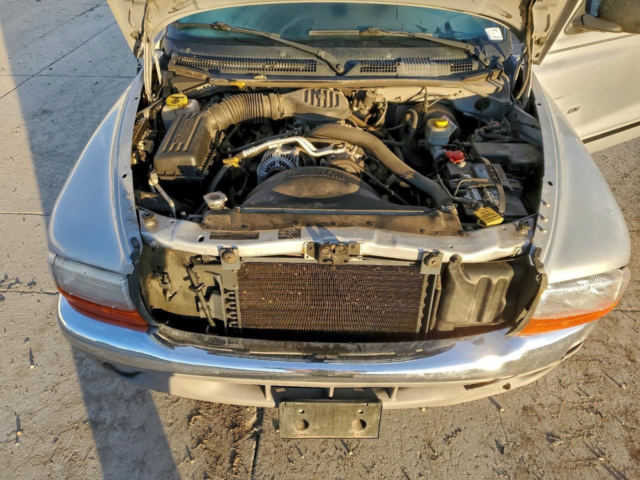 1999 DODGE Dakota