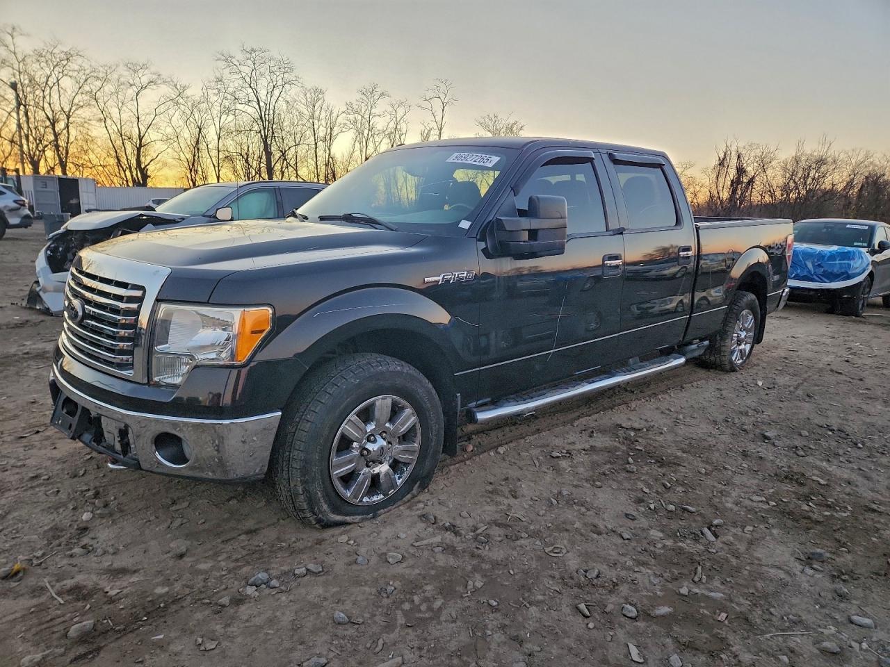 2010 FORD F-150