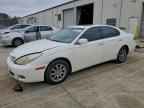 2003 LEXUS Es 300