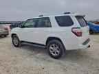 2024 TOYOTA 4Runner