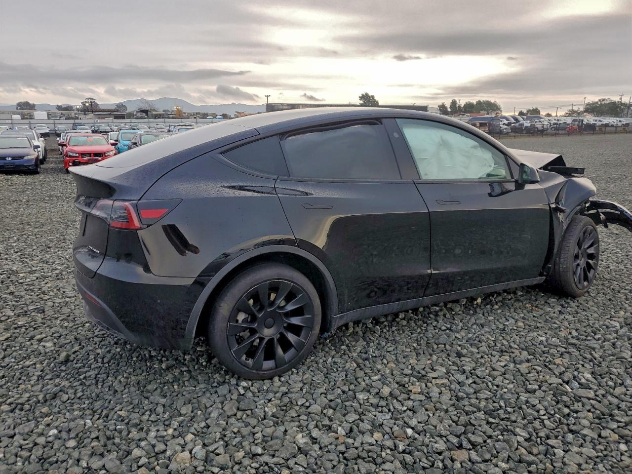 2024 TESLA MODEL Y