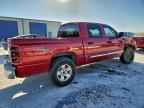 2006 DODGE Dakota