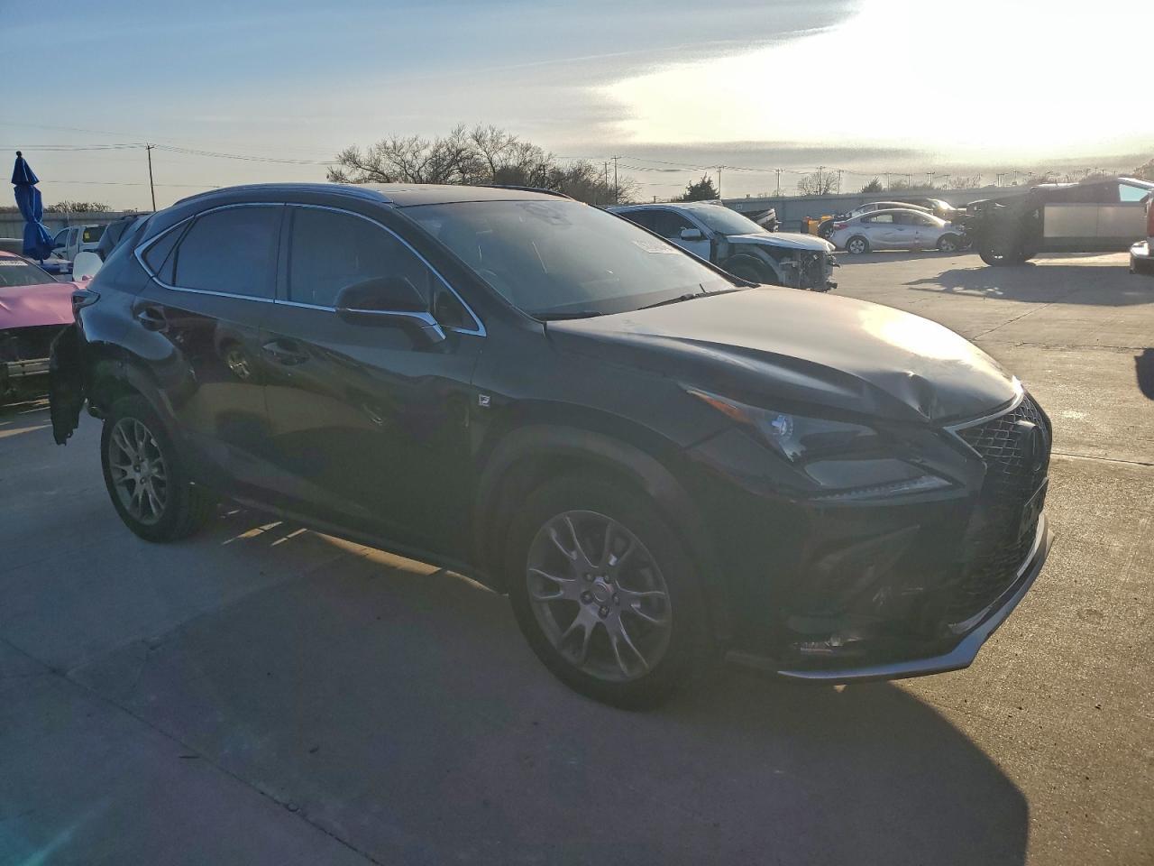2019 LEXUS NX 300