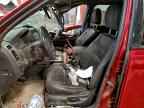 2010 FORD ESCAPE
