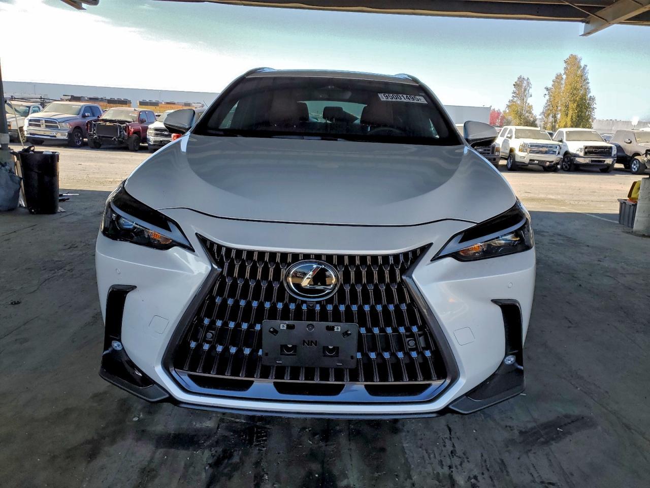 2025 LEXUS NX 350