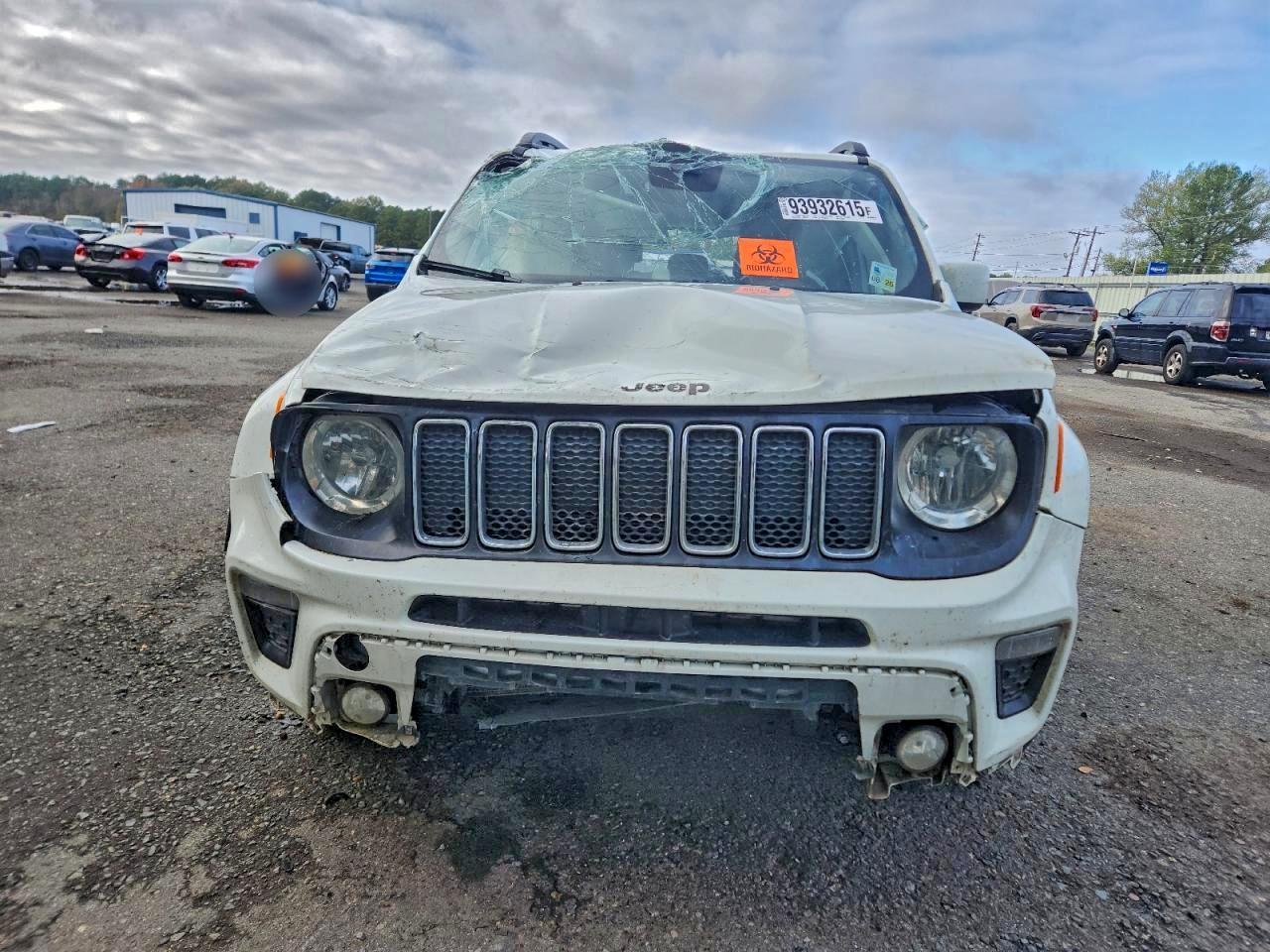 2019 JEEP Renegade