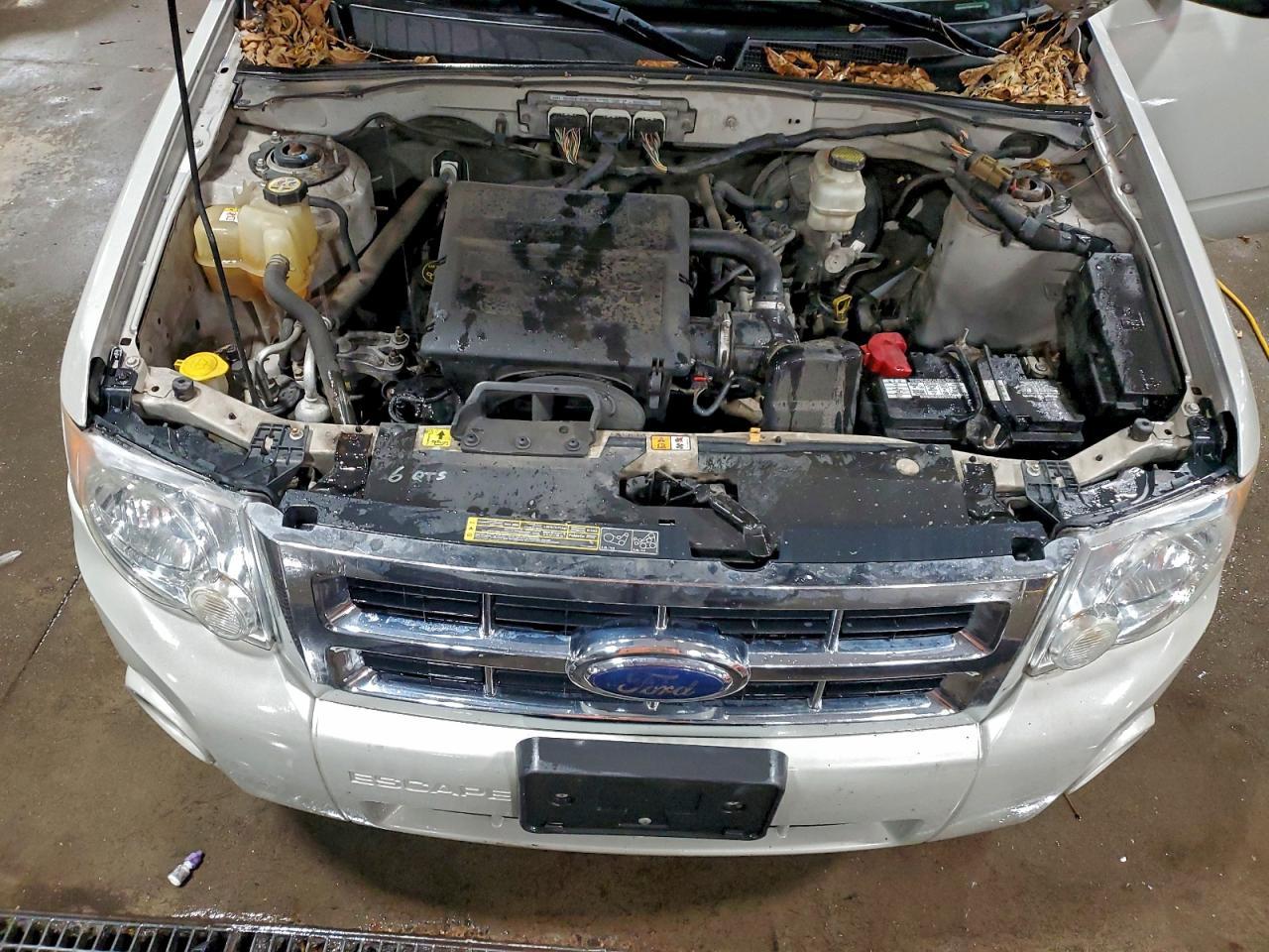 2009 FORD ESCAPE