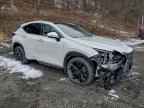 2025 LEXUS Nx