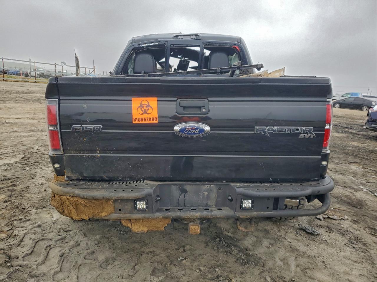 2010 FORD F-150