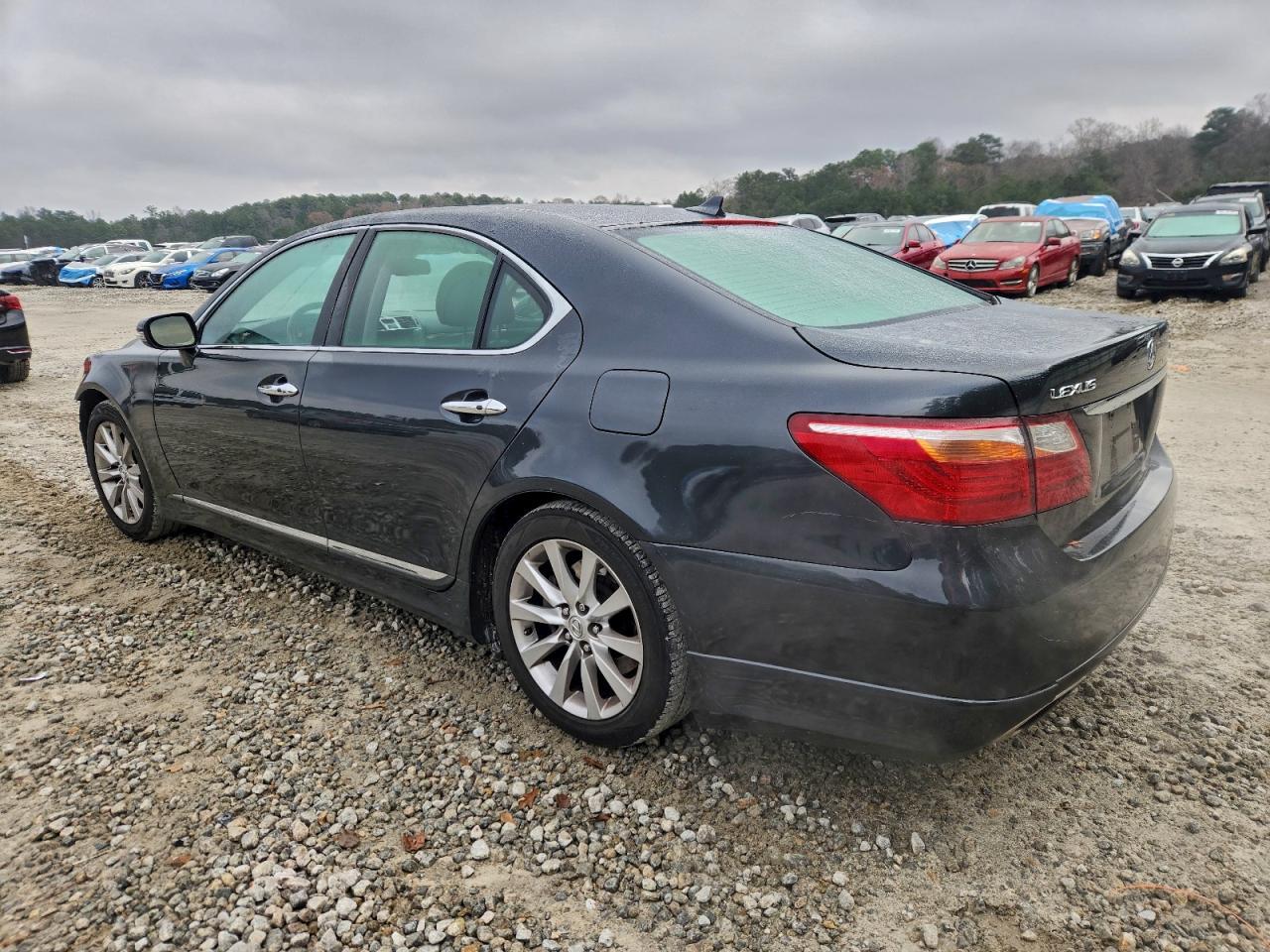 2010 LEXUS LS 460