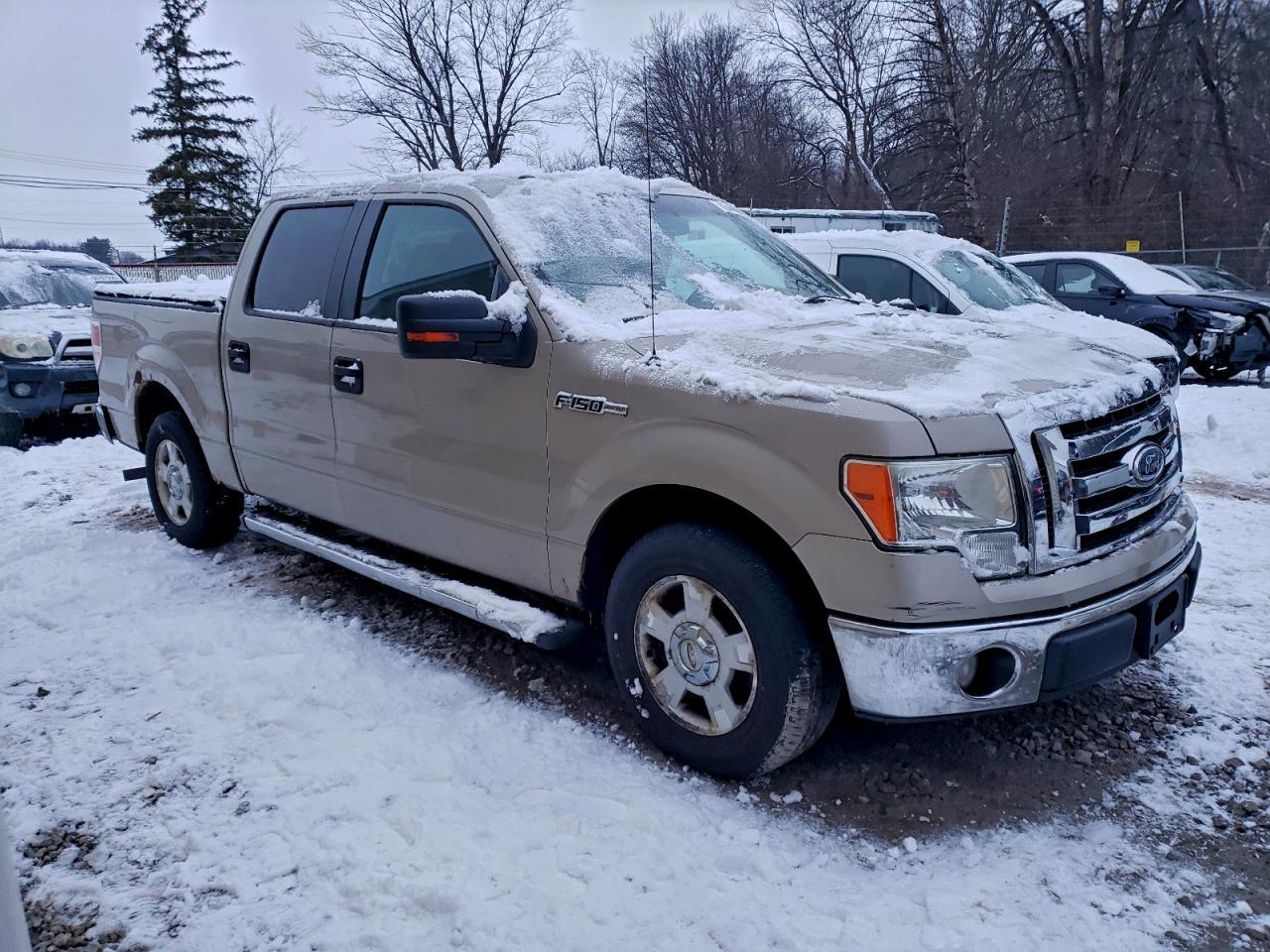 2010 FORD F-150