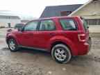 2009 FORD ESCAPE