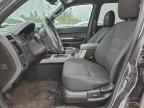 2010 FORD ESCAPE