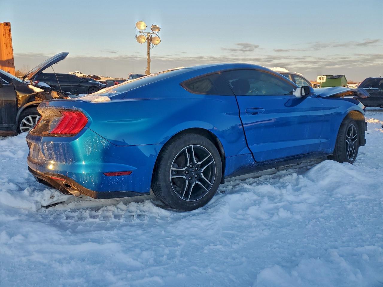 2019 FORD MUSTANG