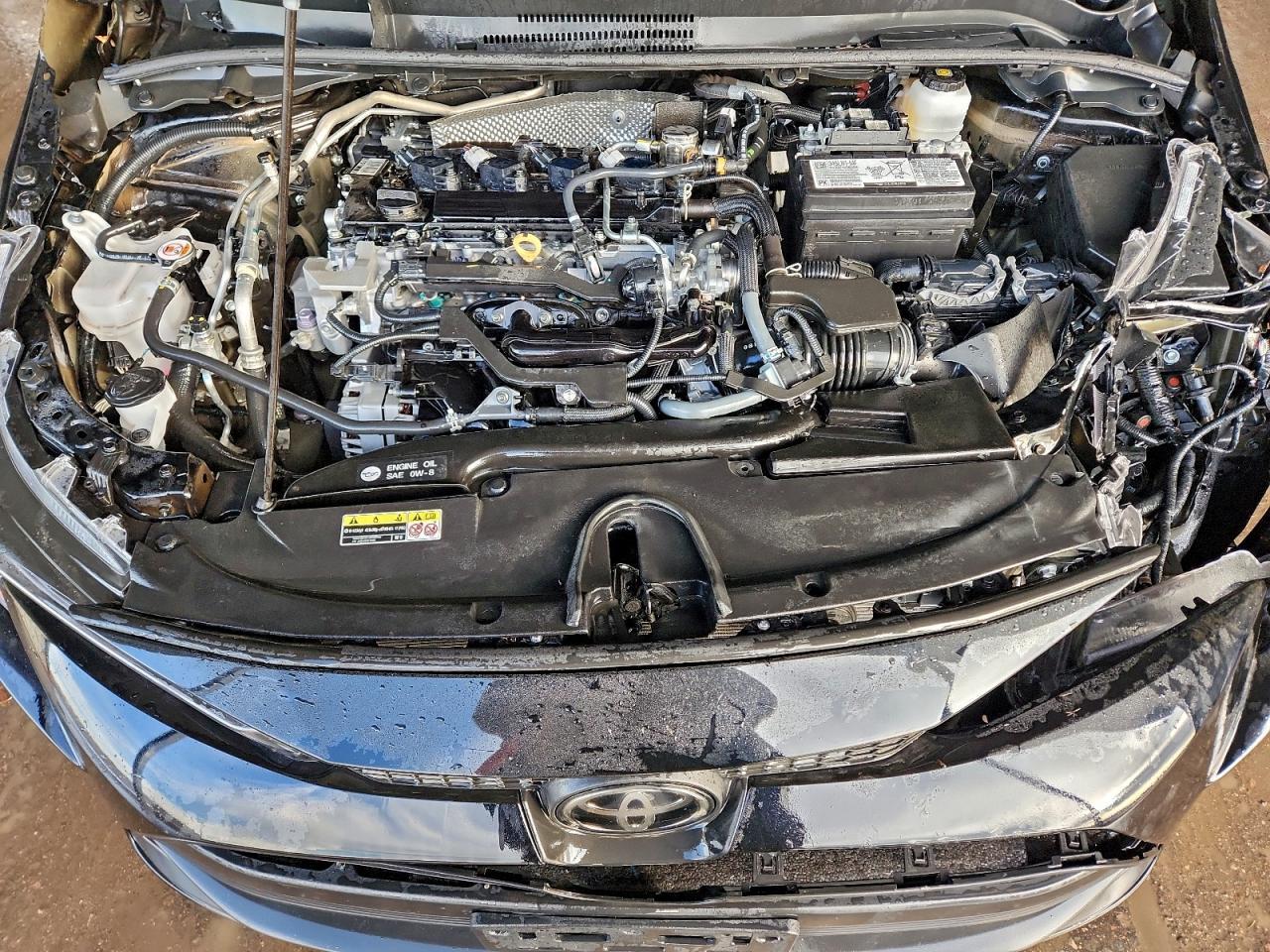 2025 TOYOTA COROLLA