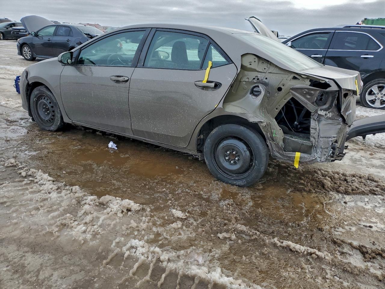 2019 TOYOTA COROLLA