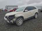2011 KIA SORENTO