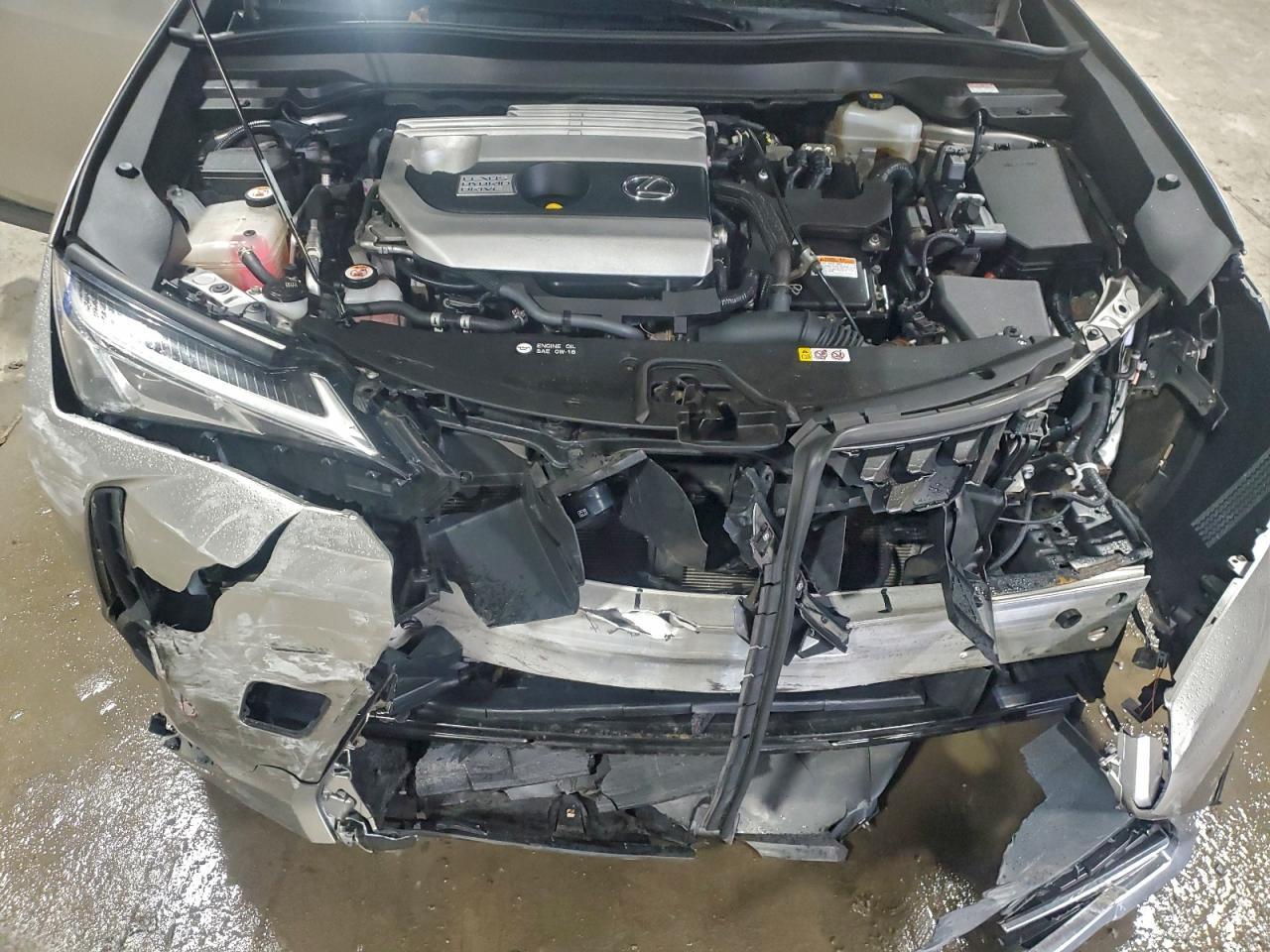 2019 LEXUS UX 250H