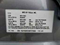 2025 TESLA MODEL Y