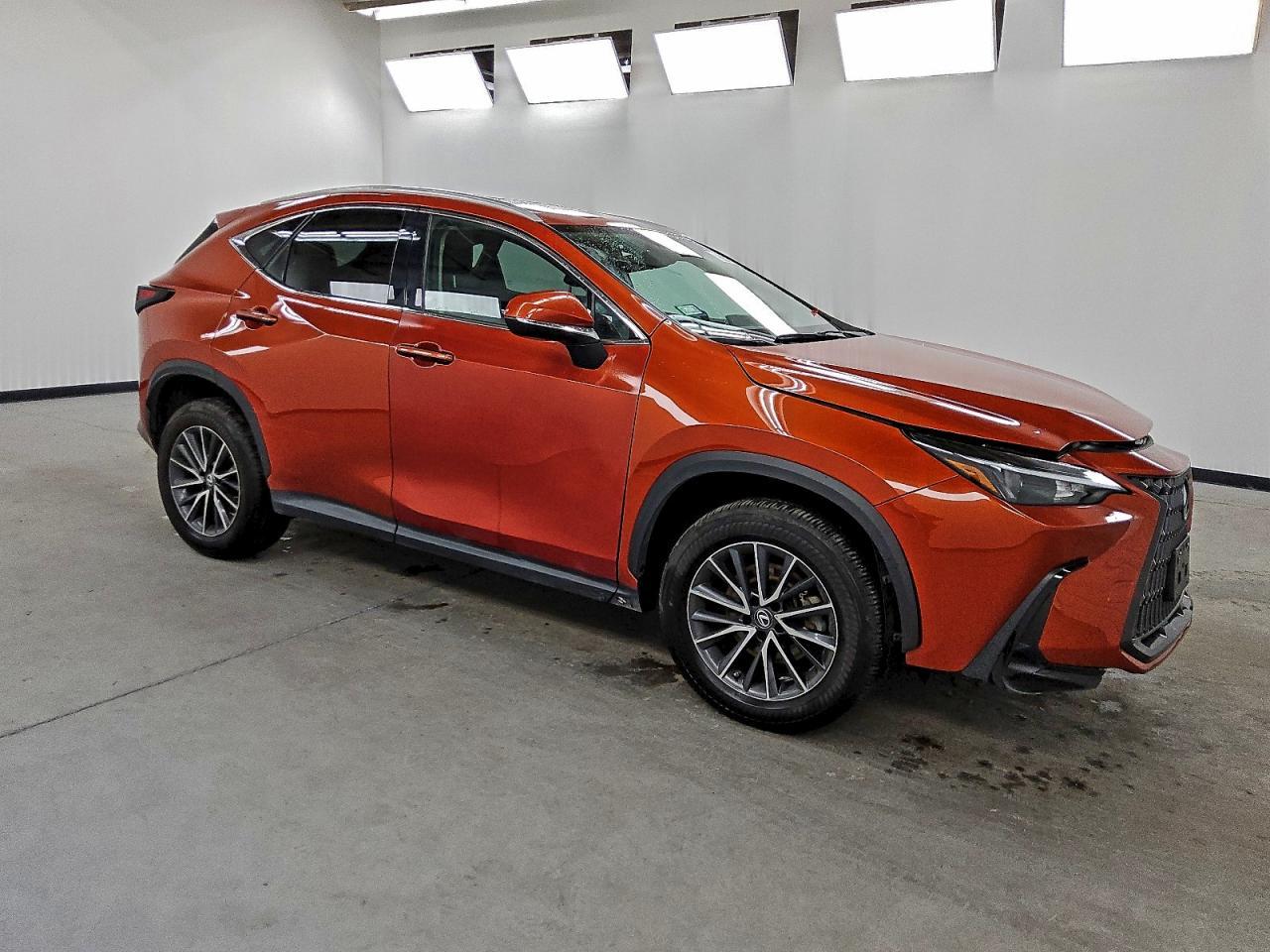 2023 LEXUS NX 250
