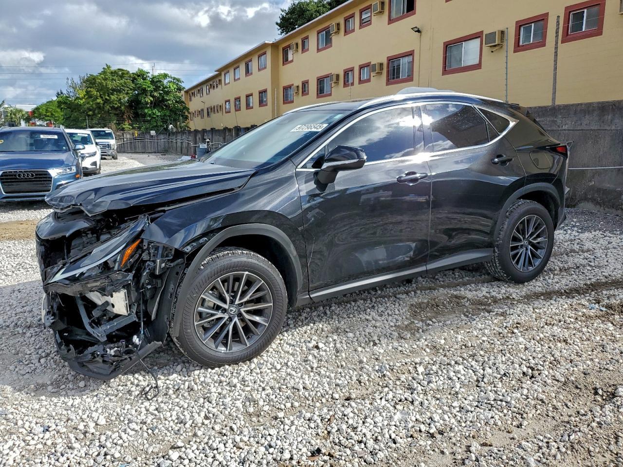 2025 LEXUS NX 250
