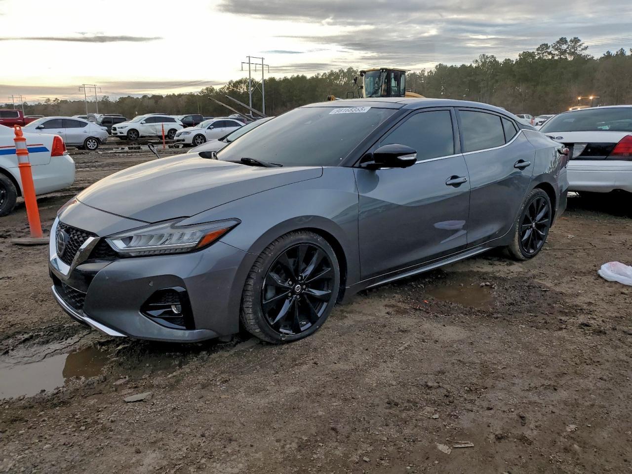 2019 NISSAN Maxima