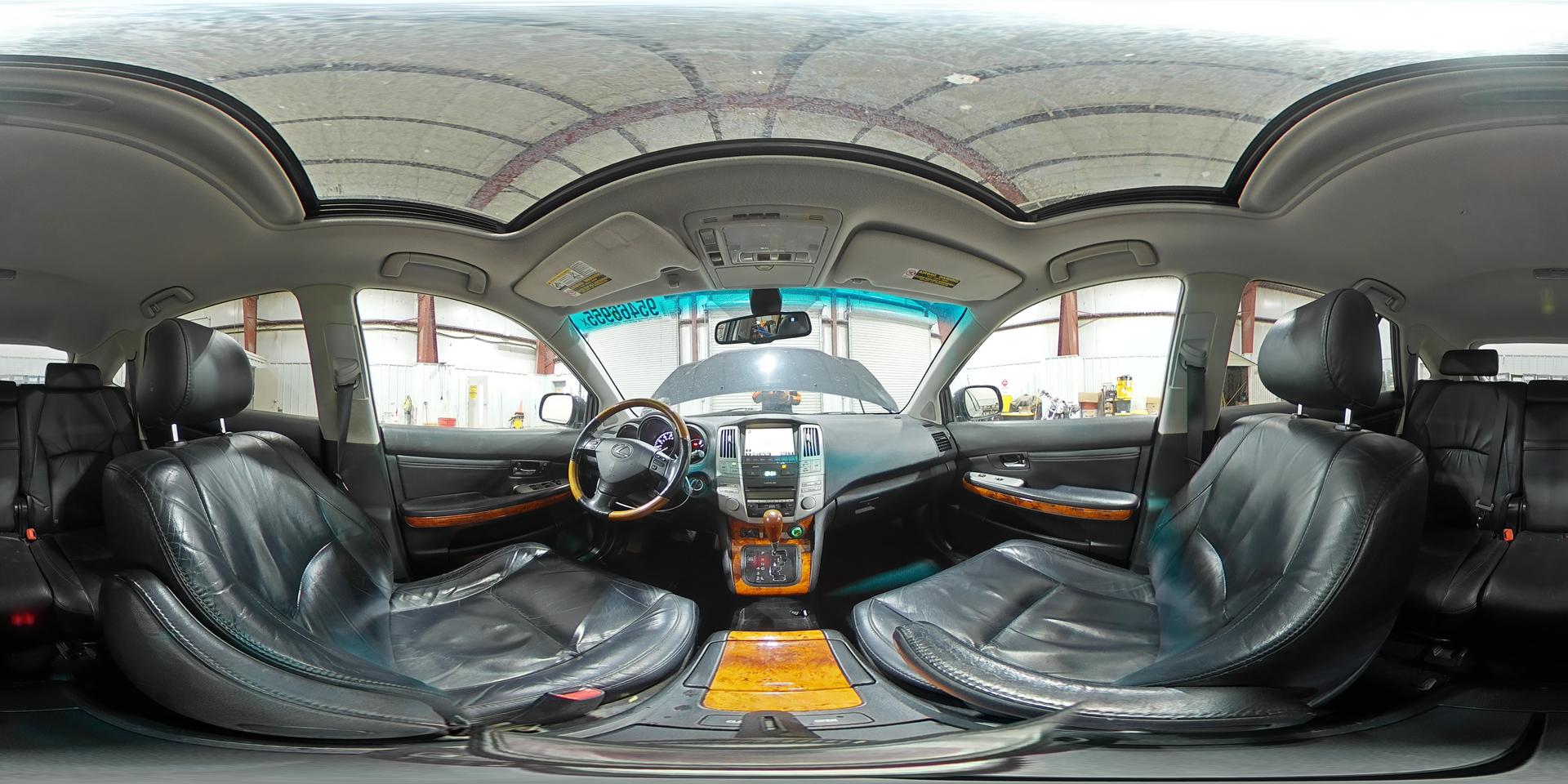 2009 LEXUS RX 350
