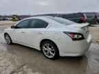 2014 NISSAN Maxima