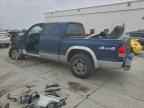 2003 DODGE Dakota