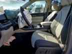 2026 KIA Carnival