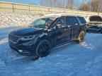 2024 KIA Carnival