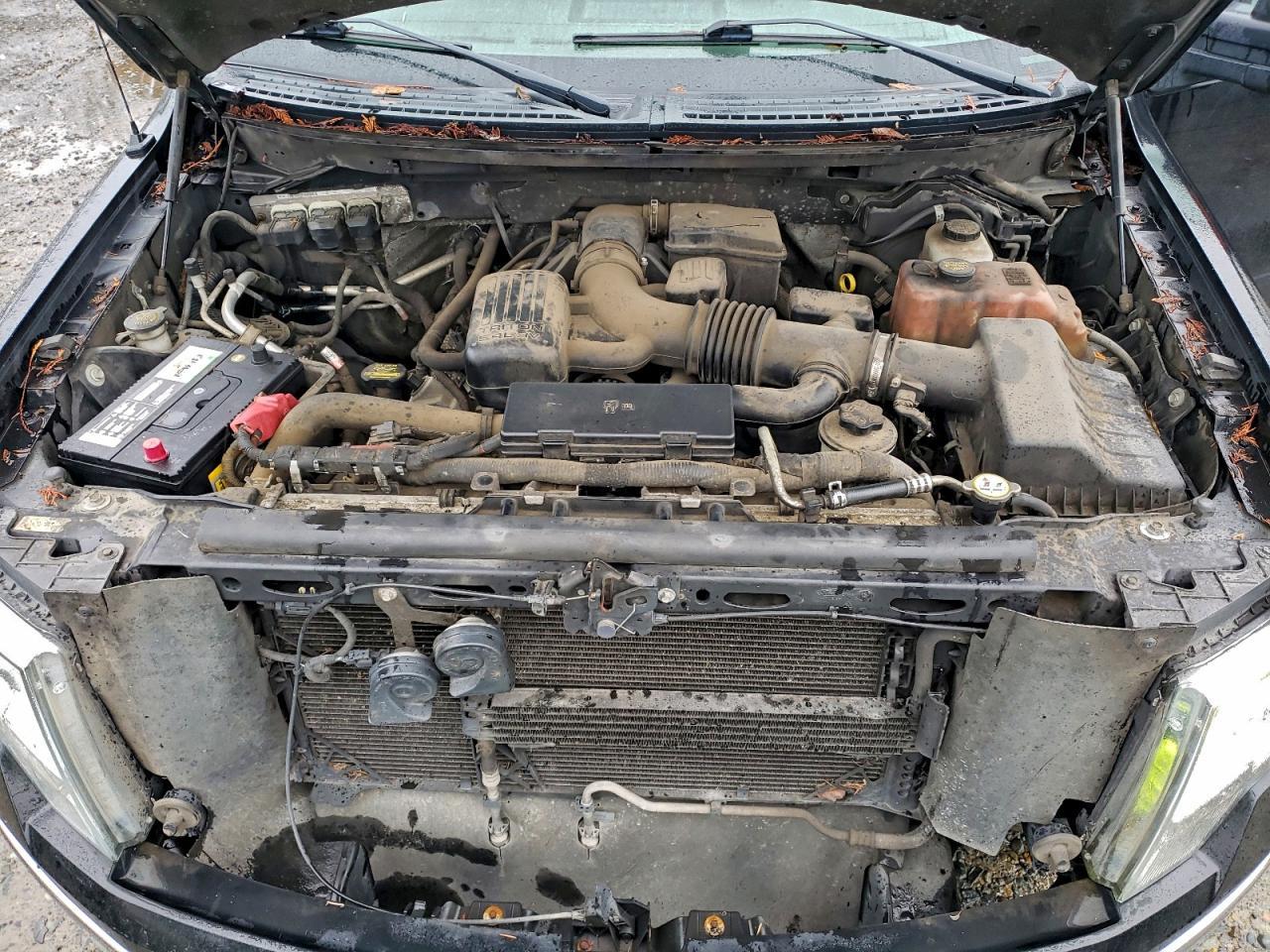 2010 FORD F-150