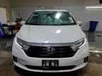 2022 HONDA ODYSSEY