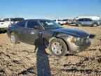 2008 DODGE CHARGER