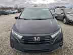 2023 HONDA ODYSSEY