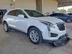 2025 CADILLAC XT5