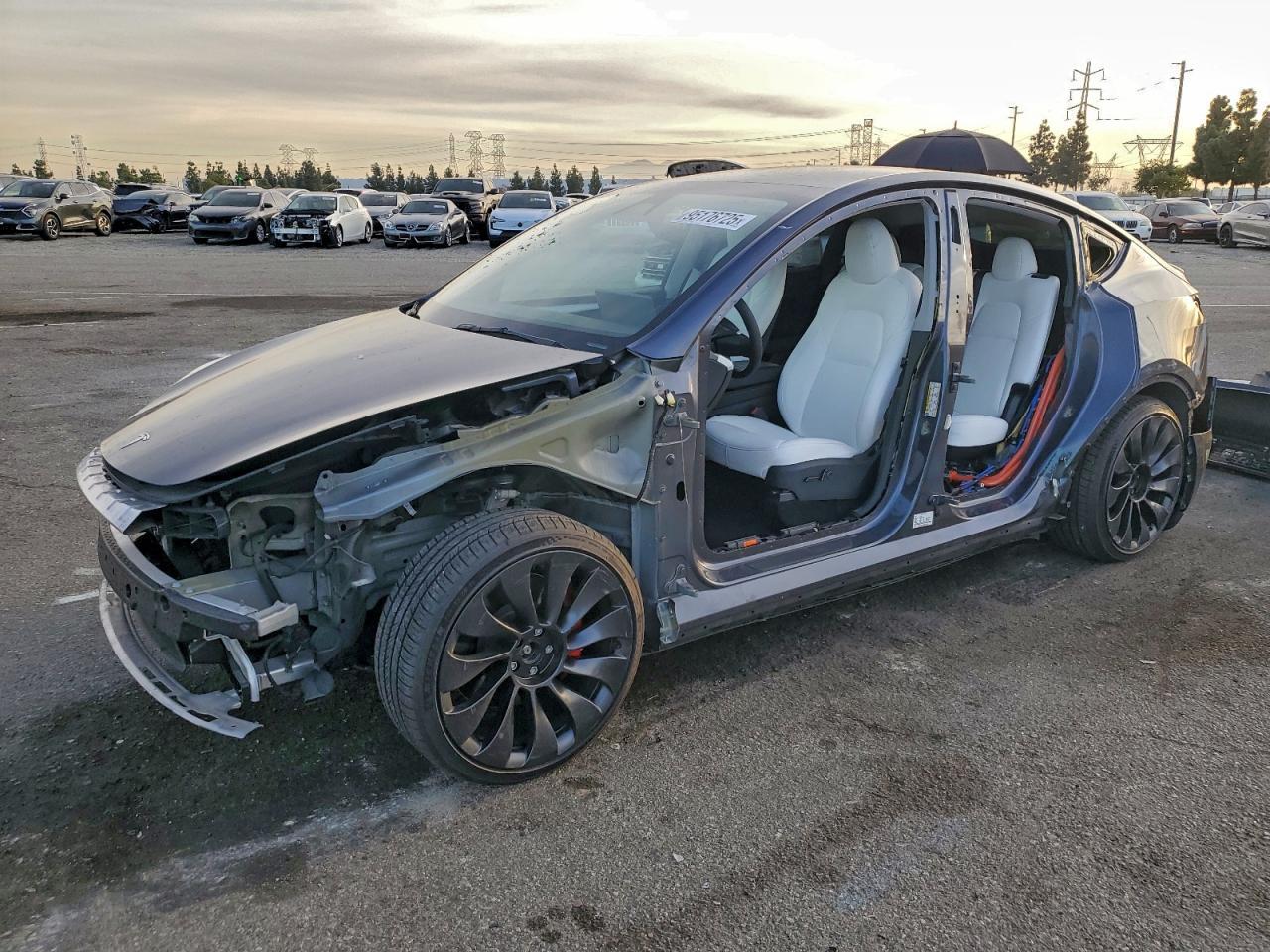 2023 TESLA MODEL Y
