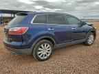 2010 MAZDA CX-9