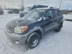 2004 TOYOTA RAV4