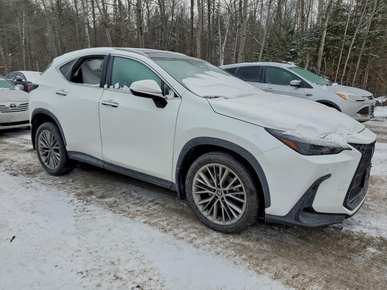 2022 LEXUS NX 350