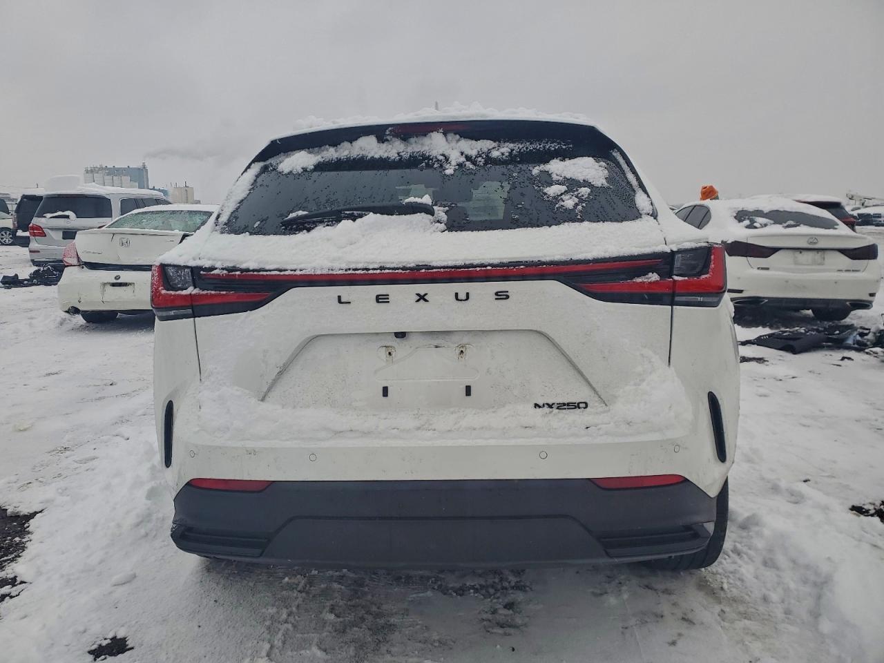 2024 LEXUS NX 250