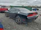 2013 DODGE Challenger