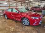 2021 LEXUS ES 250