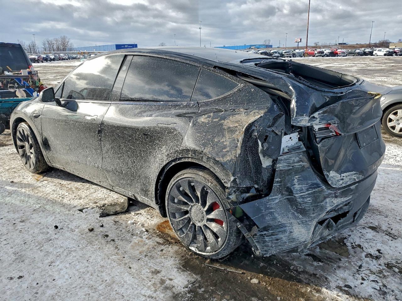 2024 TESLA MODEL Y