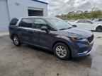 2024 KIA Carnival