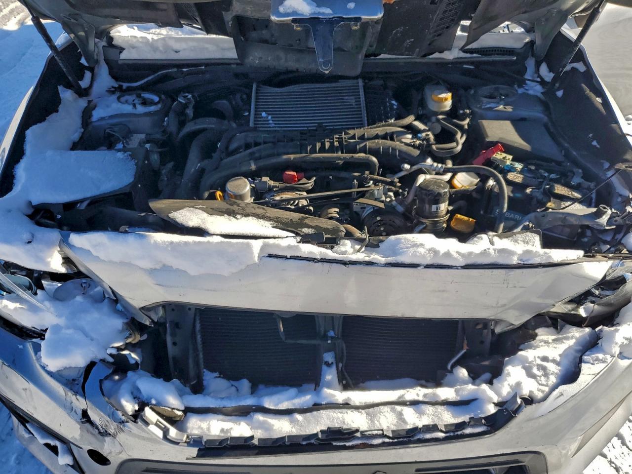 2019 SUBARU WRX