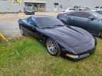 2001 CHEVROLET CORVETTE