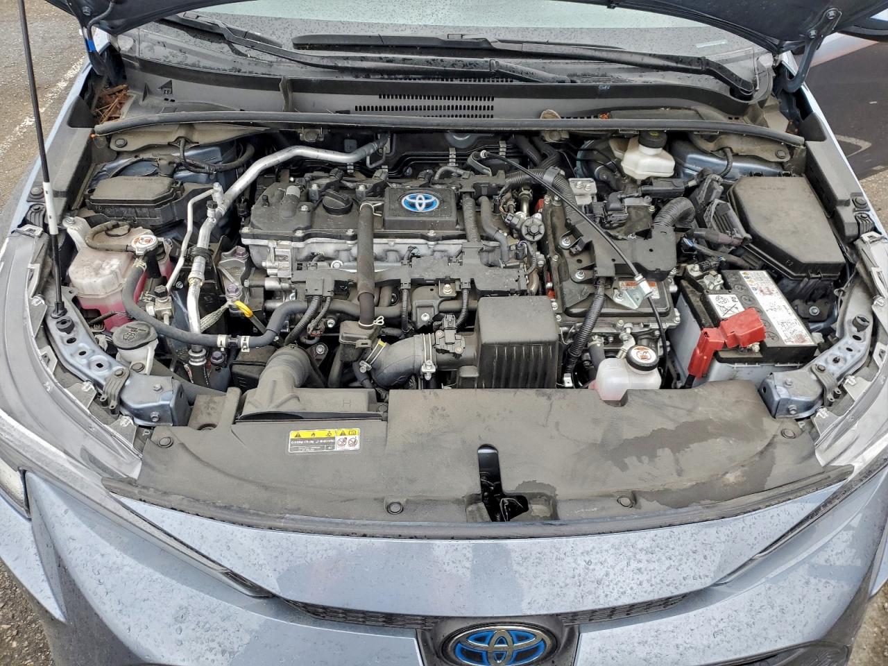 2023 TOYOTA COROLLA